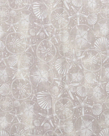Sandollars And Shells Tan Novelty Cotton Fabric